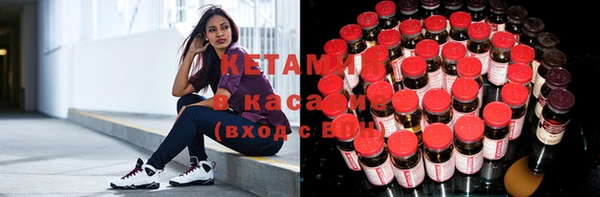 ПСИЛОЦИБИНОВЫЕ ГРИБЫ Бикин