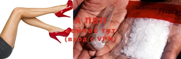 твердый Михайлов